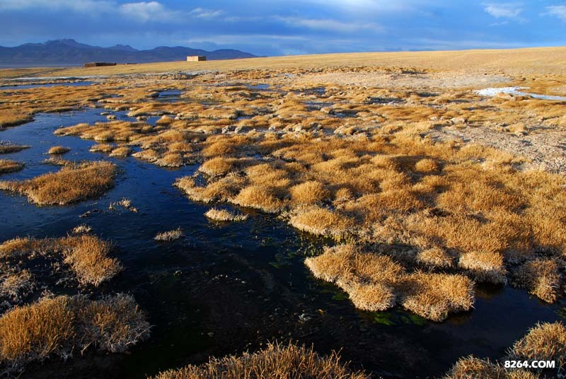 此湿地由多啦和流虻发现，附近矿上的人也不知，我去年也是错过