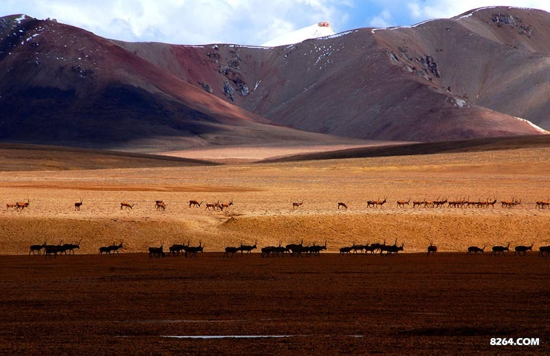 enter description here