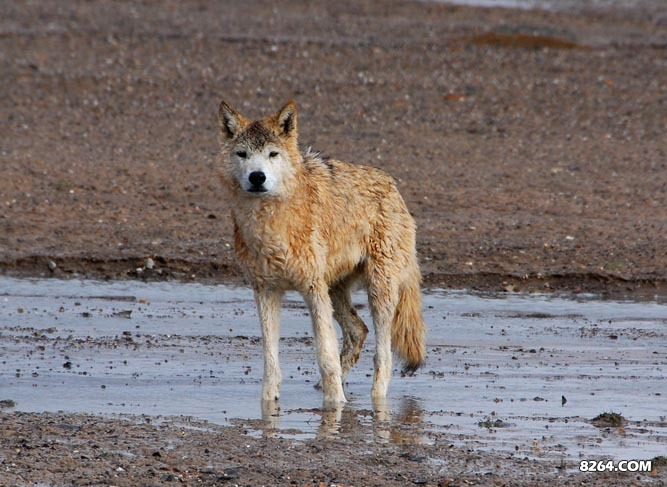 enter description here