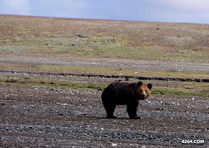 enter description here