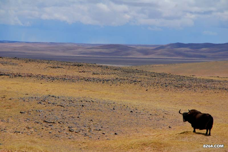 enter description here