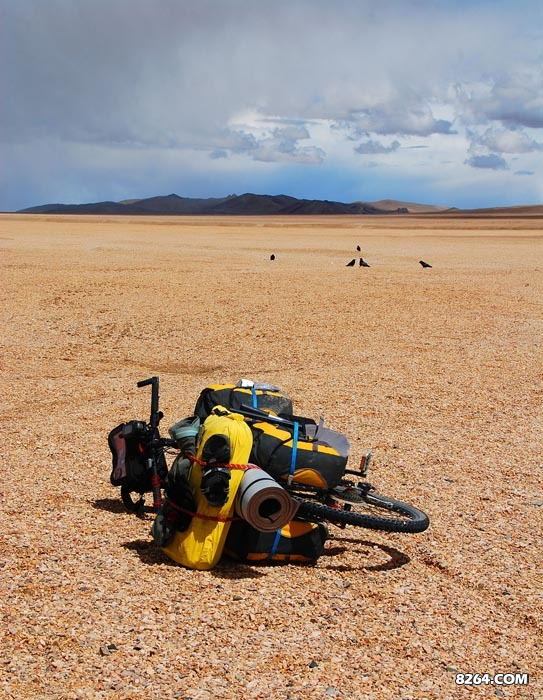 enter description here