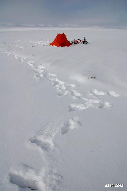 enter description here