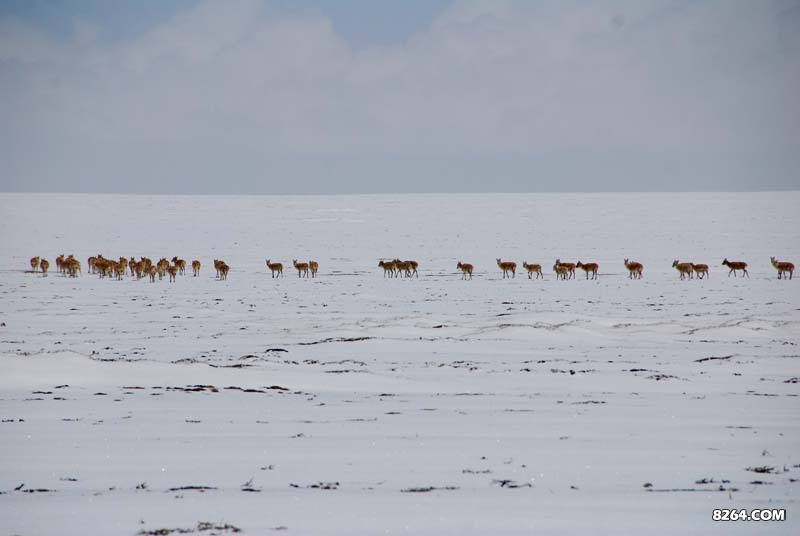 enter description here