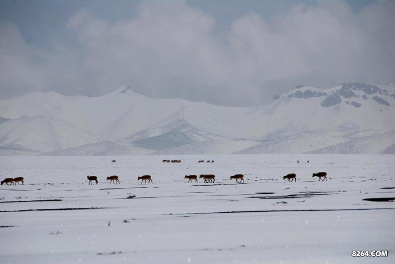 enter description here