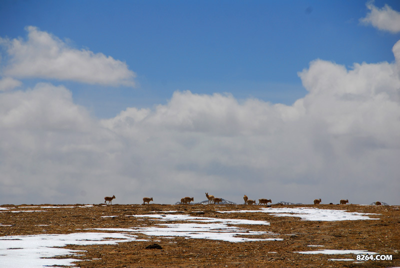 enter description here