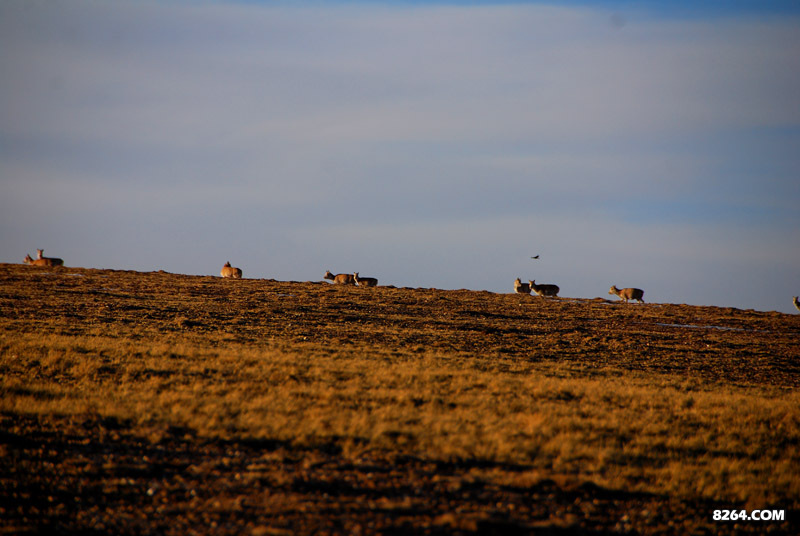 enter description here