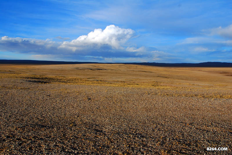 enter description here