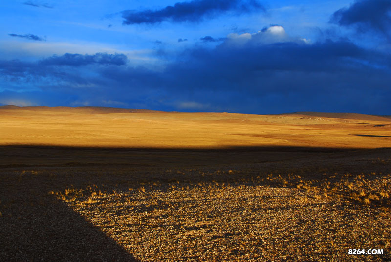 enter description here