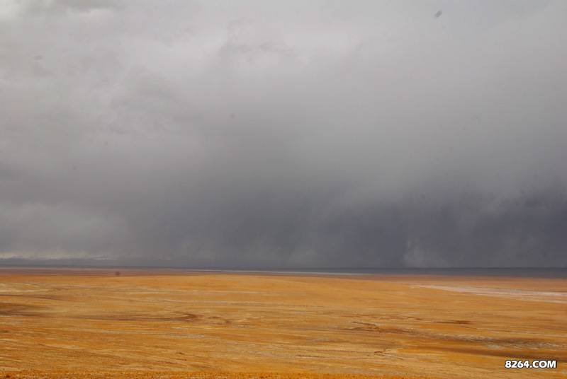 enter description here