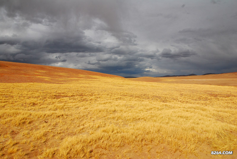 enter description here