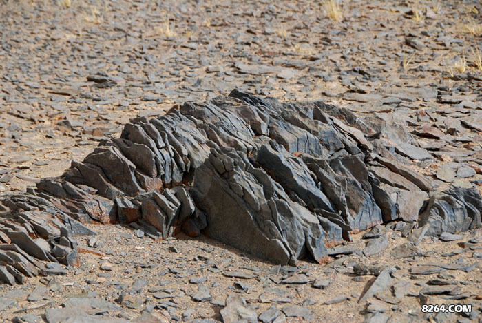 enter description here