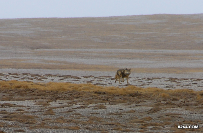 enter description here