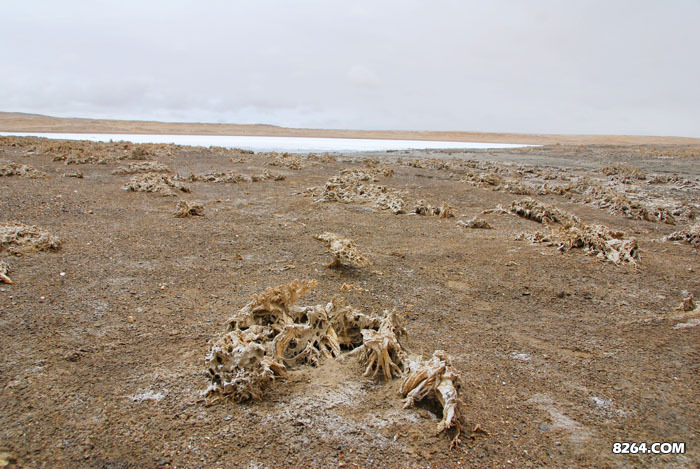 enter description here