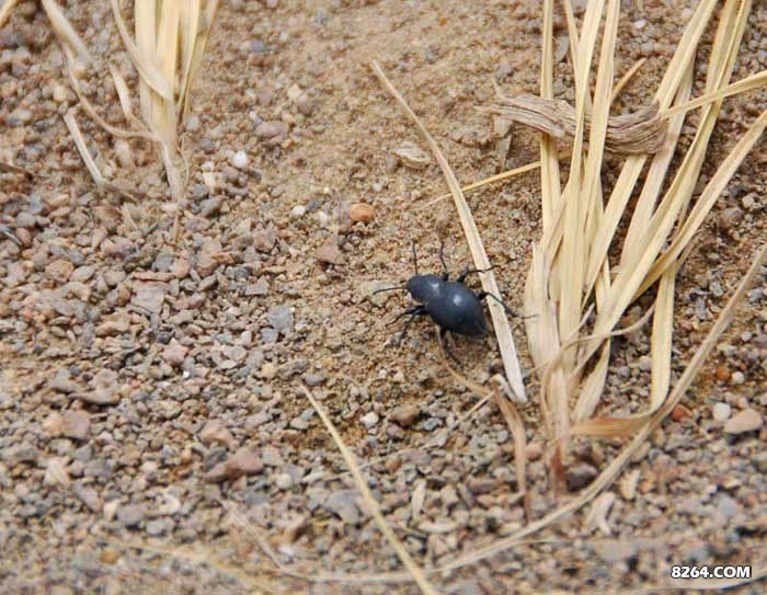 enter description here