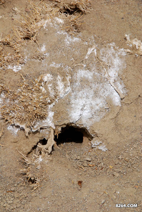 enter description here