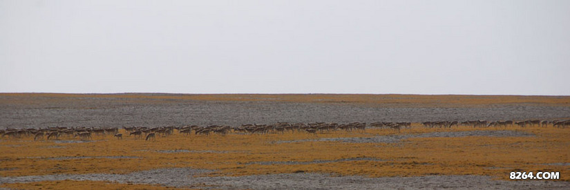 enter description here