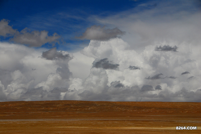 enter description here