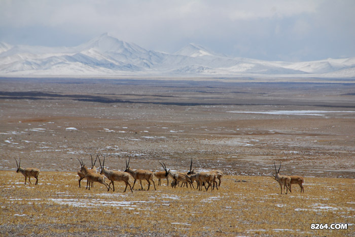 enter description here