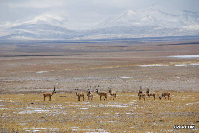 enter description here