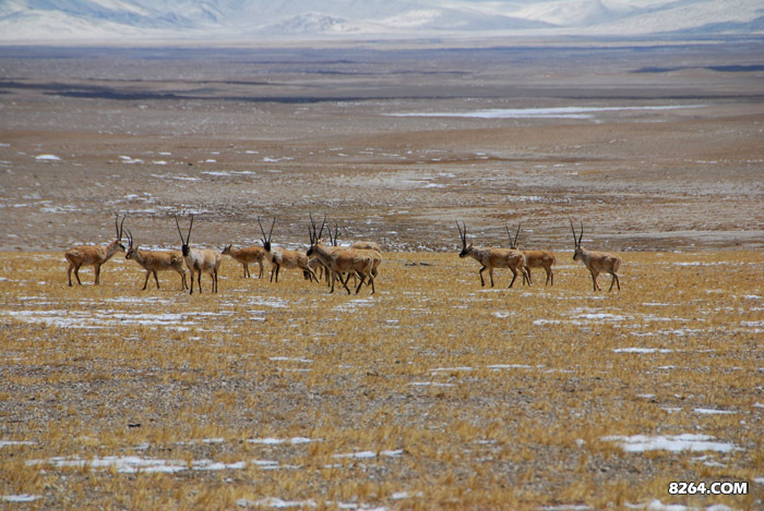 enter description here