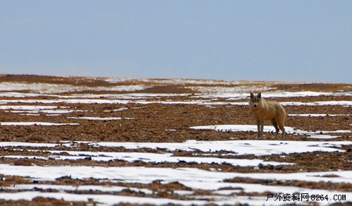 enter description here