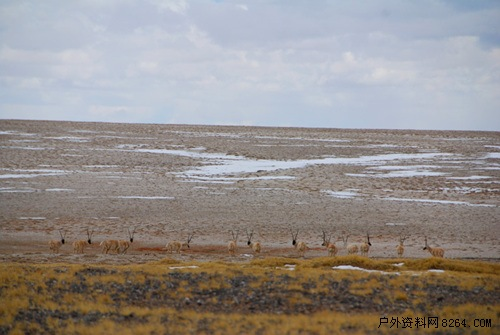 enter description here