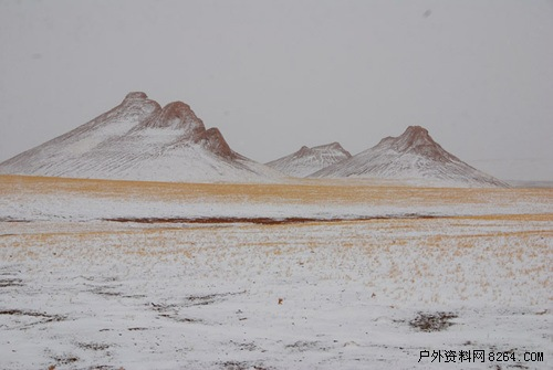 enter description here