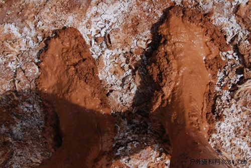 enter description here