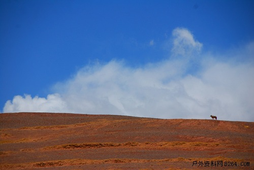 enter description here