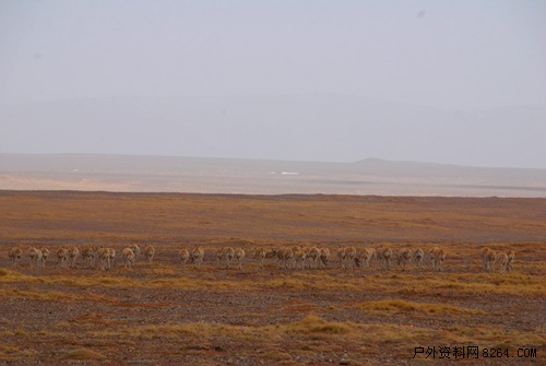 enter description here