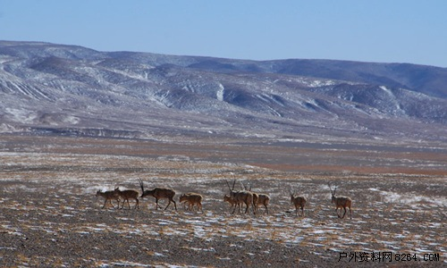 enter description here