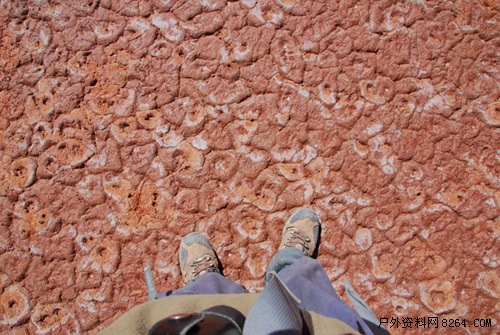 enter description here