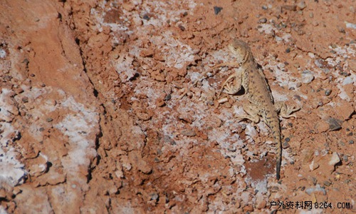 enter description here