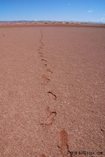 enter description here