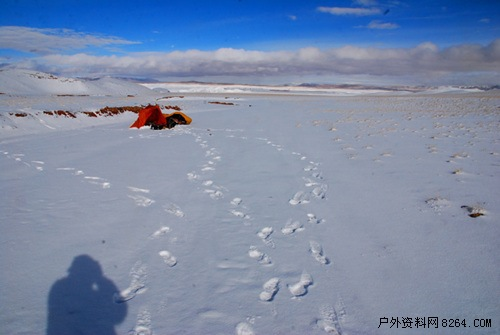 enter description here