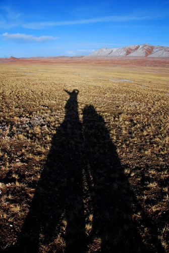 enter description here