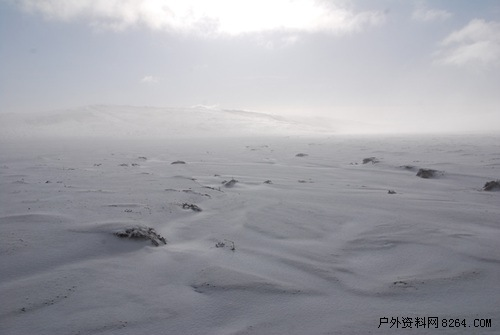 enter description here