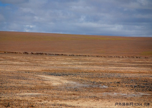 enter description here