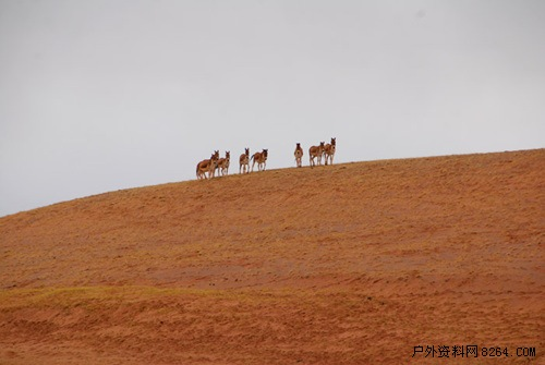 enter description here