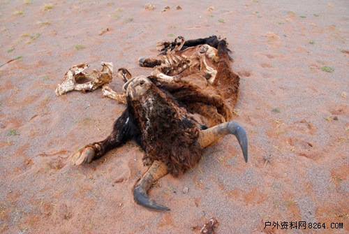 enter description here