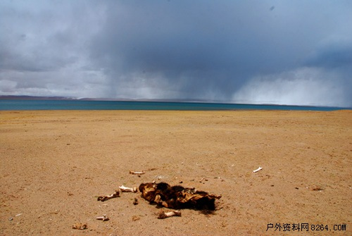 enter description here