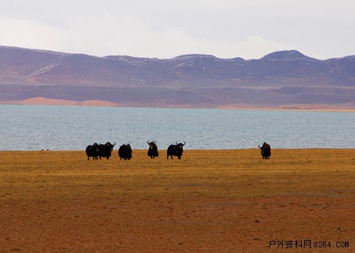 enter description here