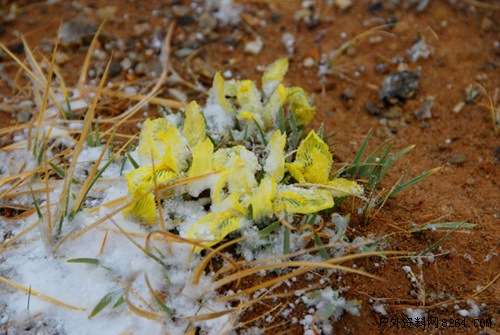 enter description here