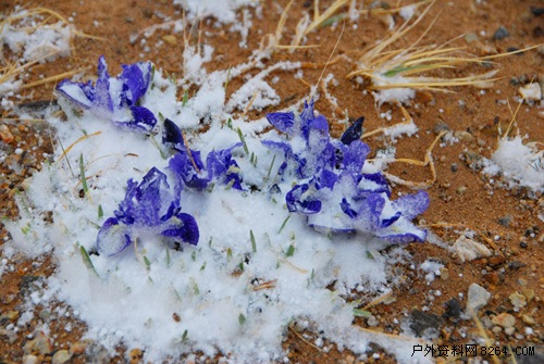 enter description here